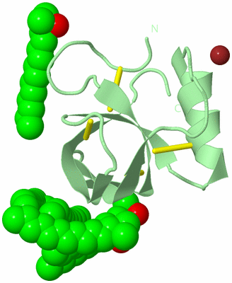 Image Biological Unit 5