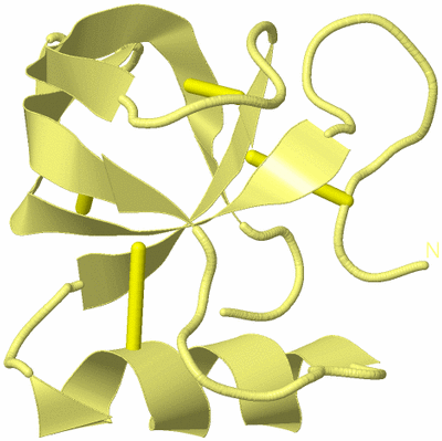 Image Biological Unit 7