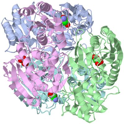 Image Biological Unit 1