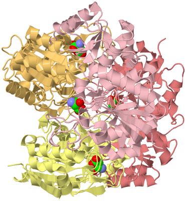 Image Biological Unit 2