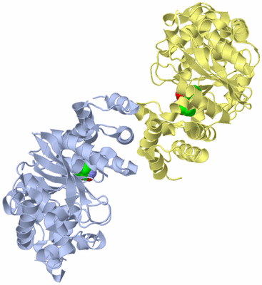 Image Biological Unit 1