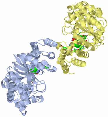 Image Biol. Unit 1 - sites