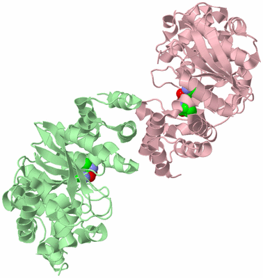 Image Biological Unit 2