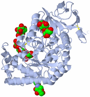 Image Biological Unit 1