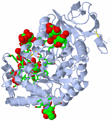 Image Biol. Unit 1 - sites