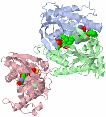 Image Asym./Biol. Unit