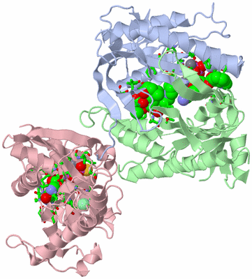 Image Asym./Biol. Unit - sites