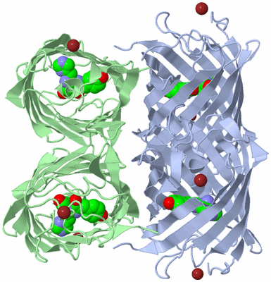 Image Biological Unit 1