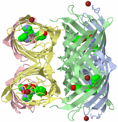 Image Biological Unit 1