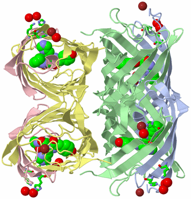 Image Biol. Unit 1 - sites