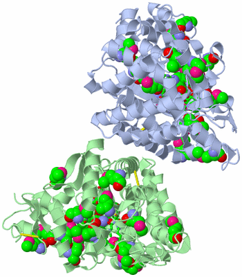 Image Biol. Unit 1 - sites