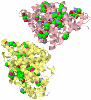 Image Biological Unit 2