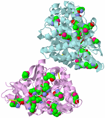 Image Biological Unit 3