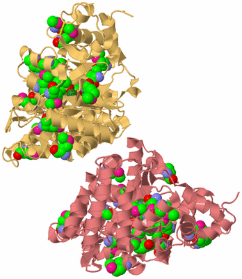 Image Biological Unit 4