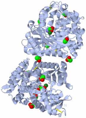 Image Biological Unit 1