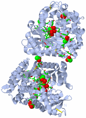 Image Biol. Unit 1 - sites