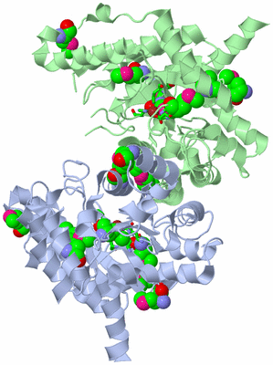 Image Asym./Biol. Unit - sites