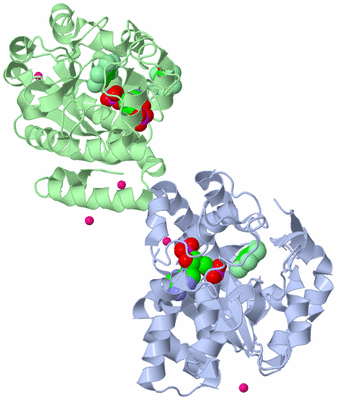 Image Asym./Biol. Unit