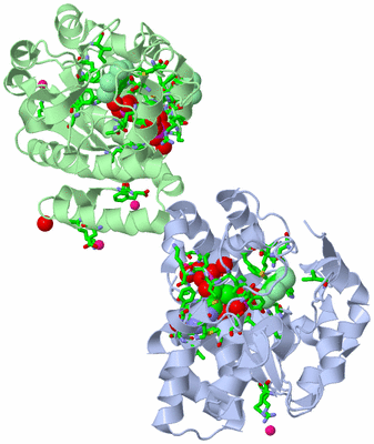 Image Asym./Biol. Unit - sites