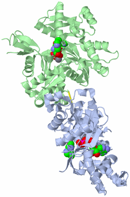 Image Asym./Biol. Unit