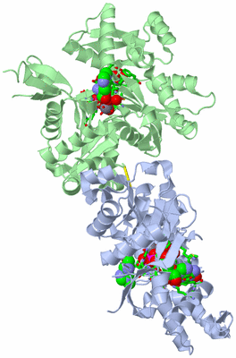 Image Asym./Biol. Unit - sites