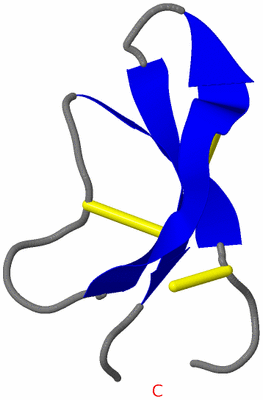 Image NMR Structure - model 1