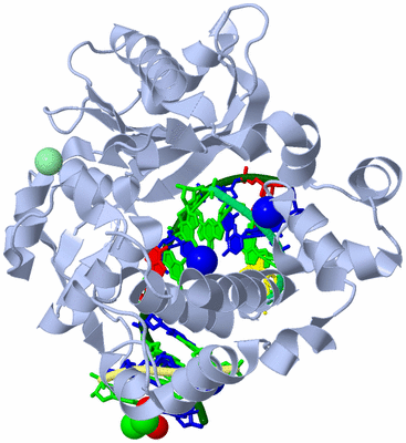 Image Biological Unit 1