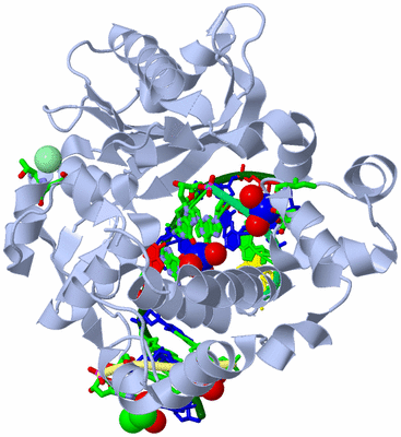 Image Biol. Unit 1 - sites