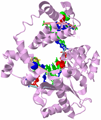 Image Biological Unit 2