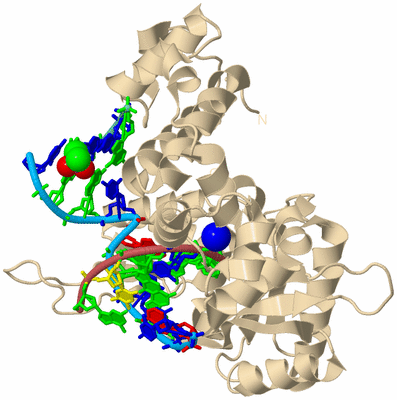 Image Biological Unit 3