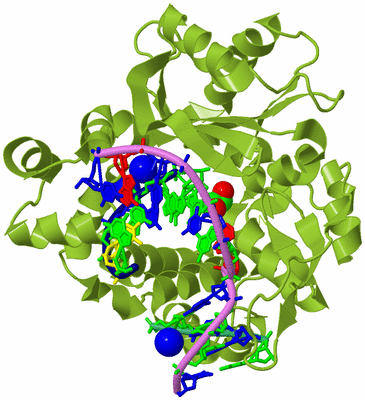 Image Biological Unit 4