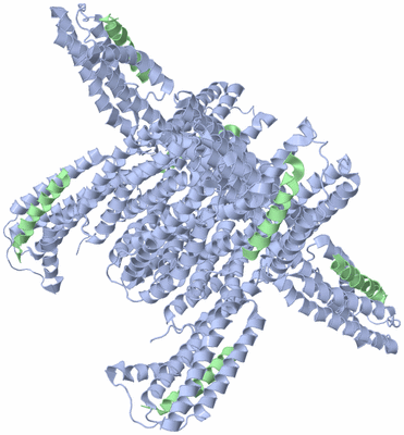 Image Biological Unit 2