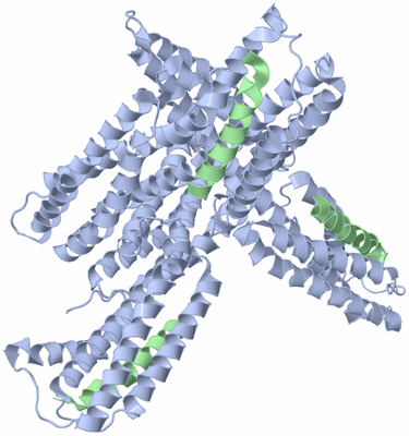 Image Biological Unit 3