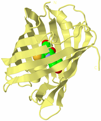 Image Biological Unit 4