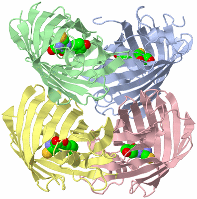 Image Biological Unit 5