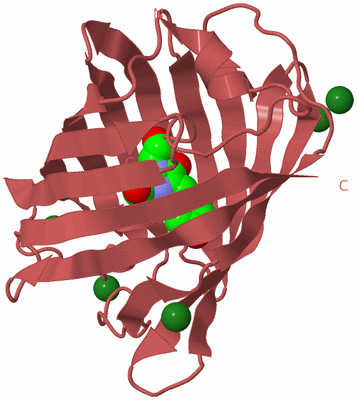 Image Biological Unit 11