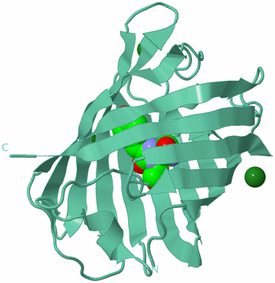 Image Biological Unit 12