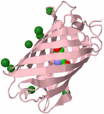 Image Biological Unit 3