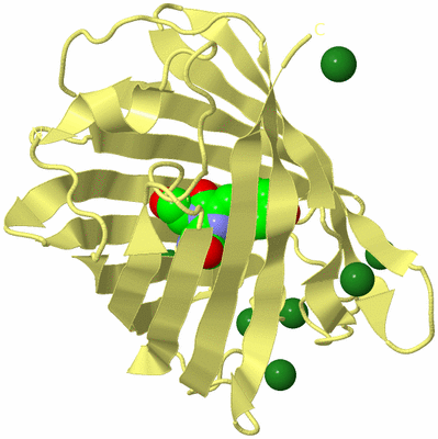 Image Biological Unit 4