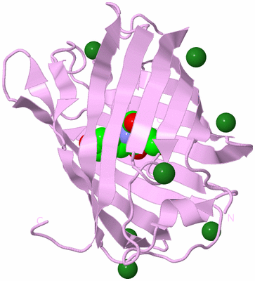 Image Biological Unit 5