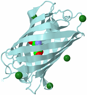 Image Biological Unit 6