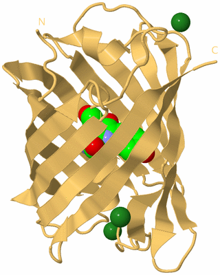 Image Biological Unit 7