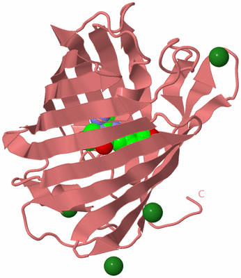 Image Biological Unit 8