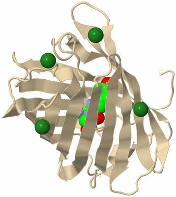 Image Biological Unit 9