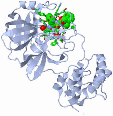 Image Biol. Unit 1 - sites