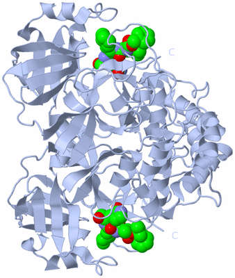 Image Biological Unit 2