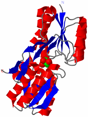 Image Asym./Biol. Unit