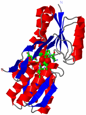 Image Asym./Biol. Unit - sites