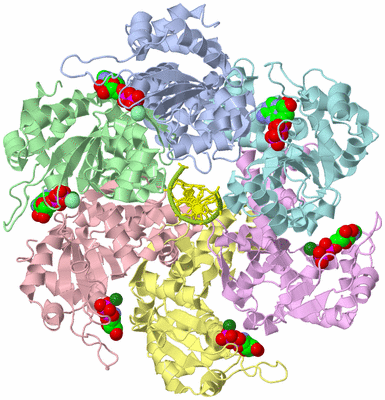 Image Biological Unit 1