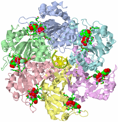 Image Biol. Unit 1 - sites